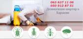 Уничтожение любых видов насекомых . Гарантия. Прочие услуги - Услуги