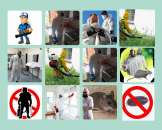 Уничтожение насекомых и грызунов в Москве Дезинфекция. Прочие услуги - Услуги