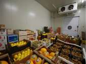 Холодильная камера для фруктов, банани холодильная зберігання київ. Услуги для бизнеса - Услуги