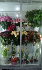Холодильник для квітів або напоїв для торгових точок - изображение 1