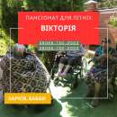 Частный пансионат для пожилых «Виктория» — Забота, как дома!