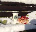 Чашка керамическая с силиконовой крышкой с поилкой Starbucks