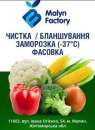 Шоковая заморозка ягод, овощей и фруктов. Услуга. (-37 )
