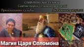 Ясновидящая Киев. Снять Порчу Киев. Снять Негатив Киев. Гармонизация Отношений Киев.