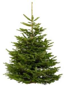 г������,�������� ������, ����� ����� - ����������� 1