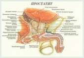 консультация уролога