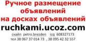 Ручное размещение объявлений на досках объявлений