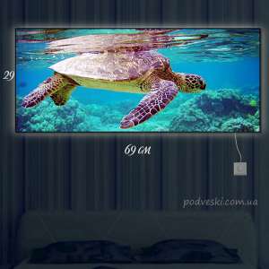 ճ� �������! ������� � ��������, ����������, ������� �� ���������� - ����������� 1