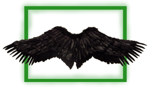 ר���� ������ ����������� - ����������� 1