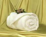 ������� � ����������: ظ������ ������ ������������� �������