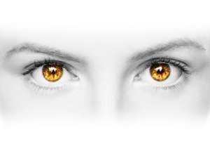 � �e o����� �����������, � ��������� � ����������! - ����������� 1