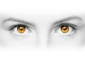 ������� � ����������: � �e o����� �����������, � ��������� � ����������!