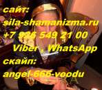 � ���� ��� ������ �� ������ ������� ��� ������� ���� �� �������. �� ��� ������� �������� ������� ���� ����� ���������� ������� - ����������� 2