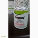 � ���� ����� �������� ������ ����� ������ ���� �� ��������.