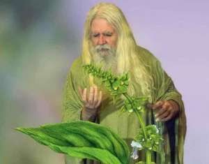 � ���� ������ ����������� ��������� ����������� ��� - ����������� 1