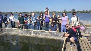 � ������ �����: ����� � �������� �������� �������� � ��������� - ����������� 1