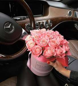 � ���������� ���������� ������ - ���������� ������� - ����������� 1