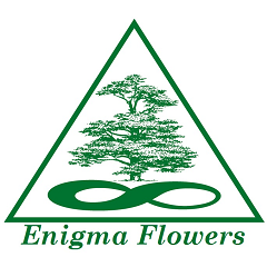 � ������������� ��������� �������� ��������� �������� �� �������� . - ����������� 1