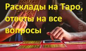 �a�a��a � �����. �a�a��e o��a�� � ����� �� �ap�ax Tapo - ����������� 1