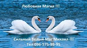 �c���� ����, ����������� �������� , �p������ �� ����, ������ ����� . - ����������� 1