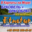 �� ���� � ������� � ��������� ������� ���� 2016. ������, ���� - ������