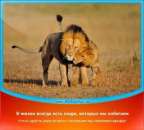 ������� � ����������: �� ���� �� �� ����� ?