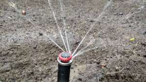 �� ������ ��� ����... - ����������� 1