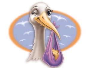 �� ������ ������������, �� ��� �������� �������? - ����������� 1