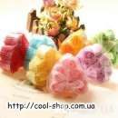 �� ������� ������� �� 14 ������� ��� 8 ����� - ������� �������� ���. - ����������� 2