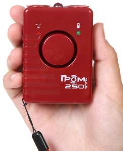 �� �����,������������� ������������ ����-250 �� ���� ����� ������ - ����������� 1