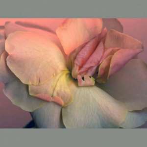 ��*� - ����������� 1