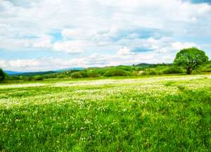 ��� � ������ ��������� �� �����, ��� ���������� �������, ��� ���������� 9 ���, ������� �� �������� �� ����� ������� - ����������� 1