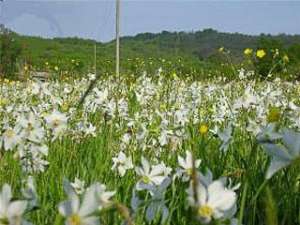 ��� � ������ ��������� �� �����, ���������� �� ������� ��������, ���������� ���� ������� �� ������� �� ����� - ����������� 1