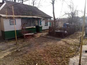 ��� � �.������� - ����������� 1