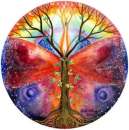 ��� � �������� ����� ������ ���� � ����� - ����������� 3