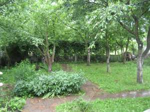 ��� �. �������� (���������� �-�) 15000 ���. ������ - ����������� 1