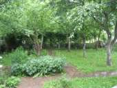 ������� � ����������: ��� �. �������� (���������� �-�) 15000 ���. ������