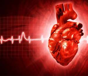 ��� �� ���. - ����������� 1