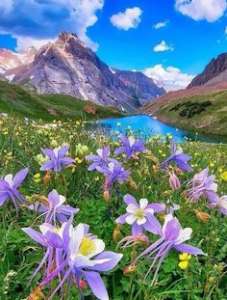 ��� �� ��� ������, ��� ����ͨ��� ��� ����� ��� ������������ - ����������� 1