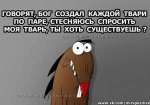 ��� �/� ����� - ����������� 1