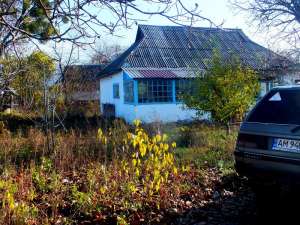 ��� �� ������� ��� ��������+65�����+������� 65�� ���� - ����������� 1