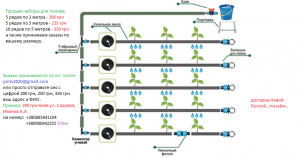 ��� ��� ������ - ����������� 1