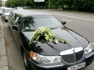 ��� ��� ���������� ��������� ���� �� ������ ����� ���� - ����������� 1