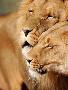 ��� ���� 27-40 � - ����������� 1