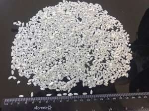 ��� ���� - ����������� 1