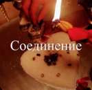 ������� � ����������: ��� ���� ����� � ������� 7-14 ���� 89533249799