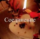 ��� ���� ����� � ������� 7-14 ����89533249799 viber