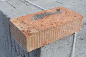 ��� ����. ������ ��������� � ������. 10 ��� �� �����. - ����������� 1