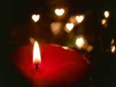 ������� � ����������: ��� ���� �������� �����, �������� �� ����, ����