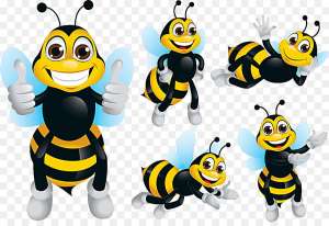 ��� ���� ���������� ����� �� ������ - ����������� 1